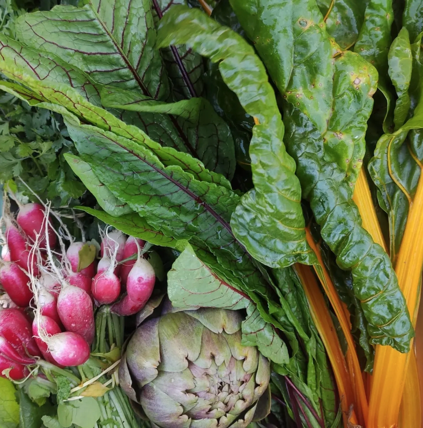 des legumes de saisons dans nos plats