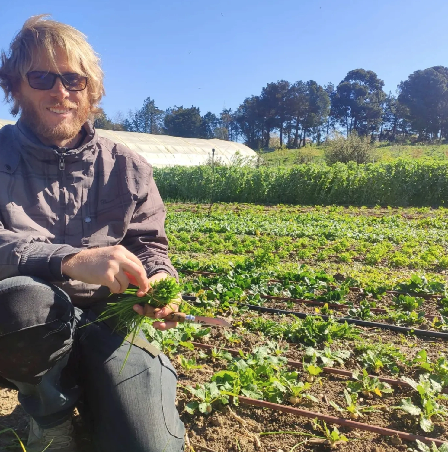 Des produits locaux cultivés à marseille
