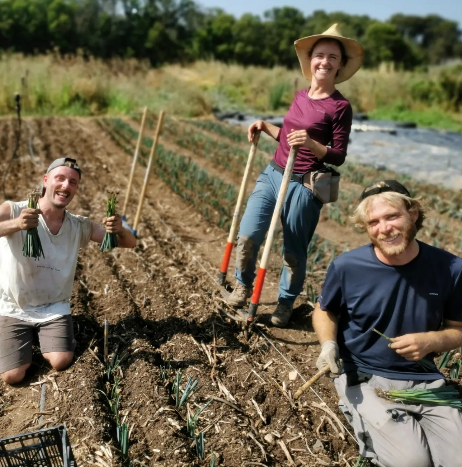 Producteurs locaux & legumes de saison